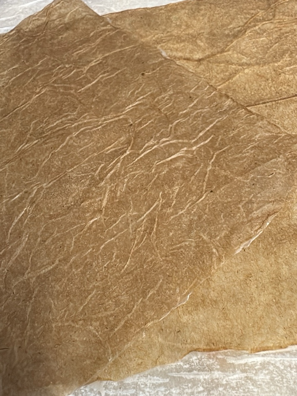 Homemade Rice Paper Sheets